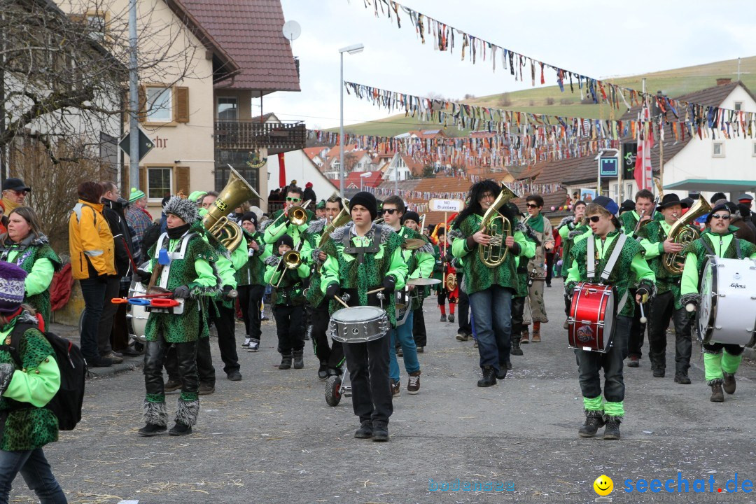 Narrentreffen - NV Kamelia: Tengen am Bodensee, 03.02.2013