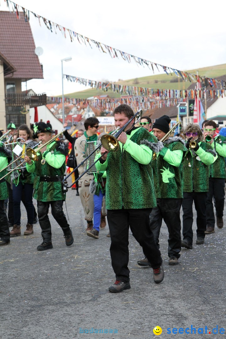 Narrentreffen - NV Kamelia: Tengen am Bodensee, 03.02.2013