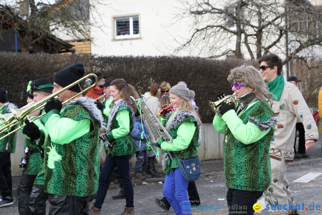 Narrentreffen - NV Kamelia: Tengen am Bodensee, 03.02.2013