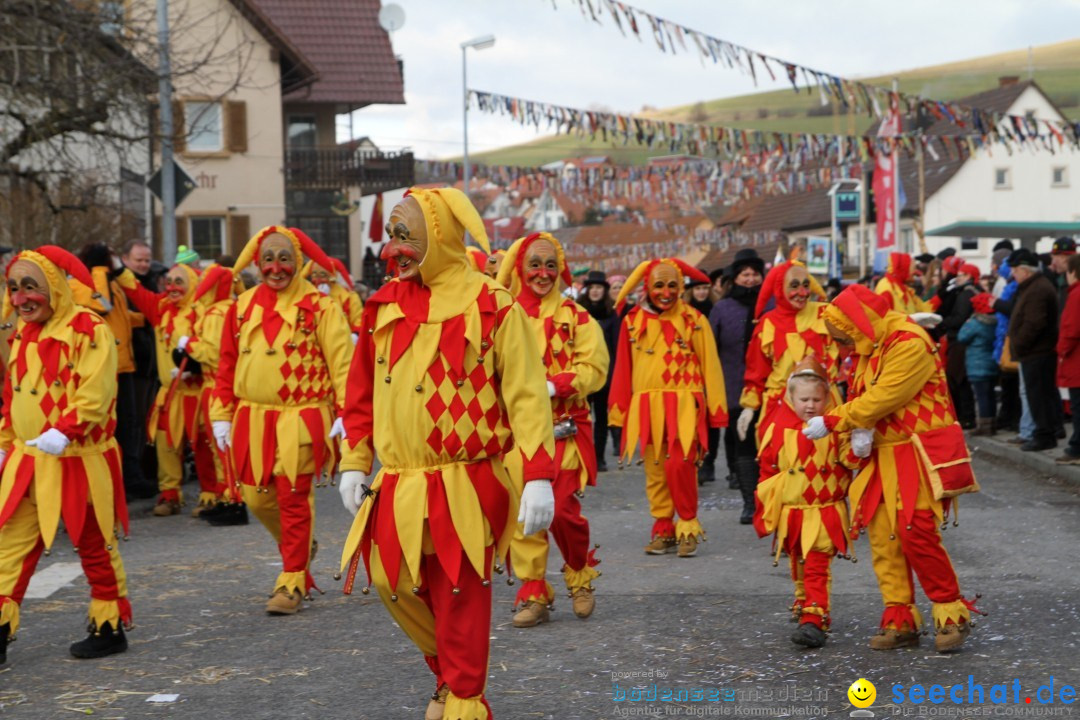 Narrentreffen - NV Kamelia: Tengen am Bodensee, 03.02.2013