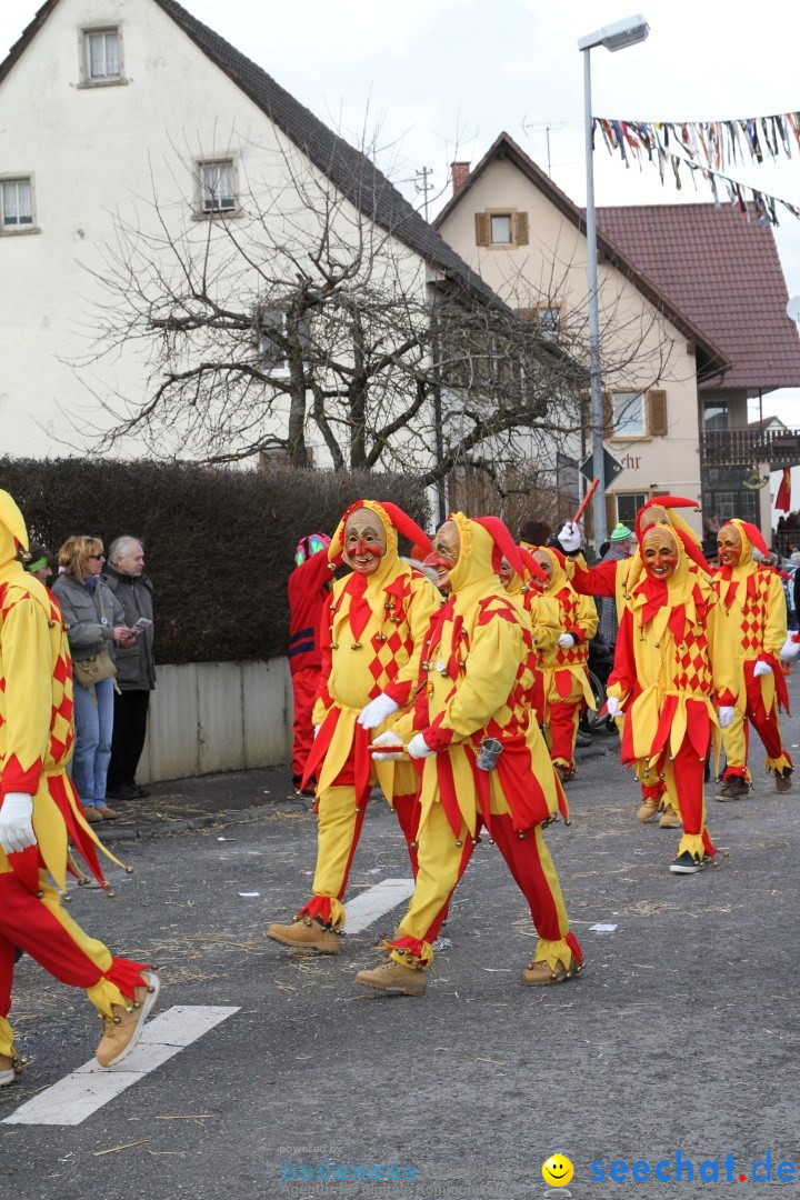 Narrentreffen - NV Kamelia: Tengen am Bodensee, 03.02.2013