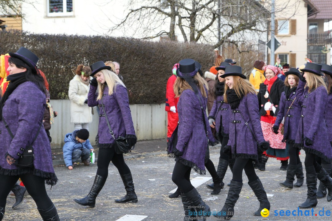 Narrentreffen - NV Kamelia: Tengen am Bodensee, 03.02.2013