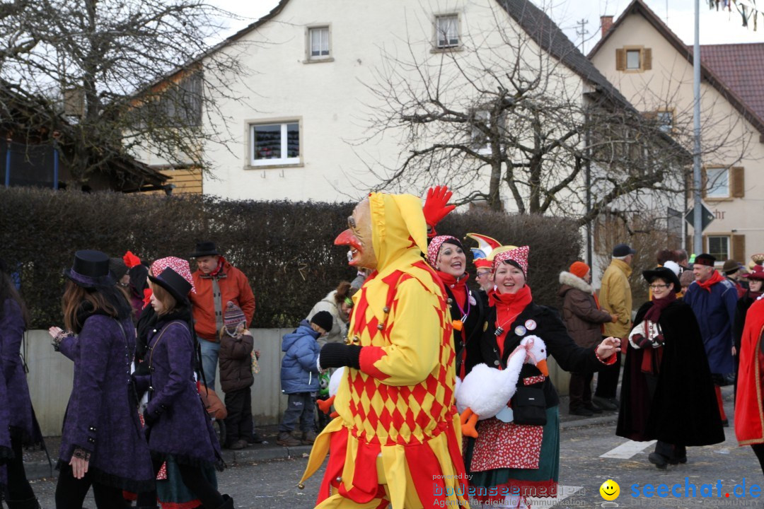 Narrentreffen - NV Kamelia: Tengen am Bodensee, 03.02.2013