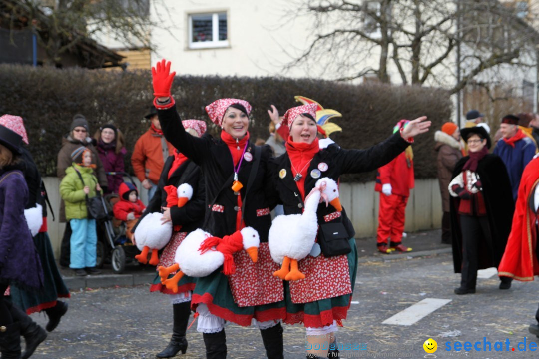 Narrentreffen - NV Kamelia: Tengen am Bodensee, 03.02.2013