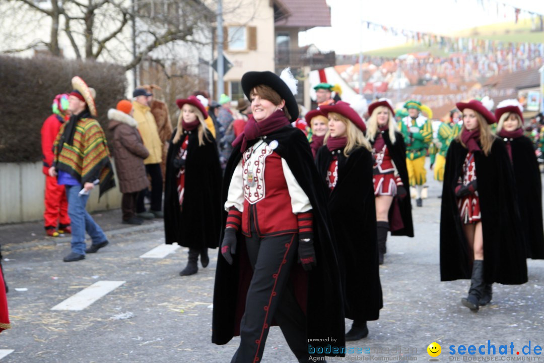 Narrentreffen - NV Kamelia: Tengen am Bodensee, 03.02.2013