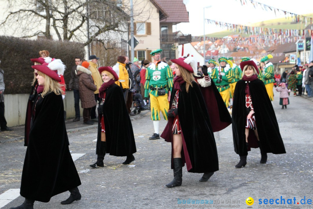 Narrentreffen - NV Kamelia: Tengen am Bodensee, 03.02.2013