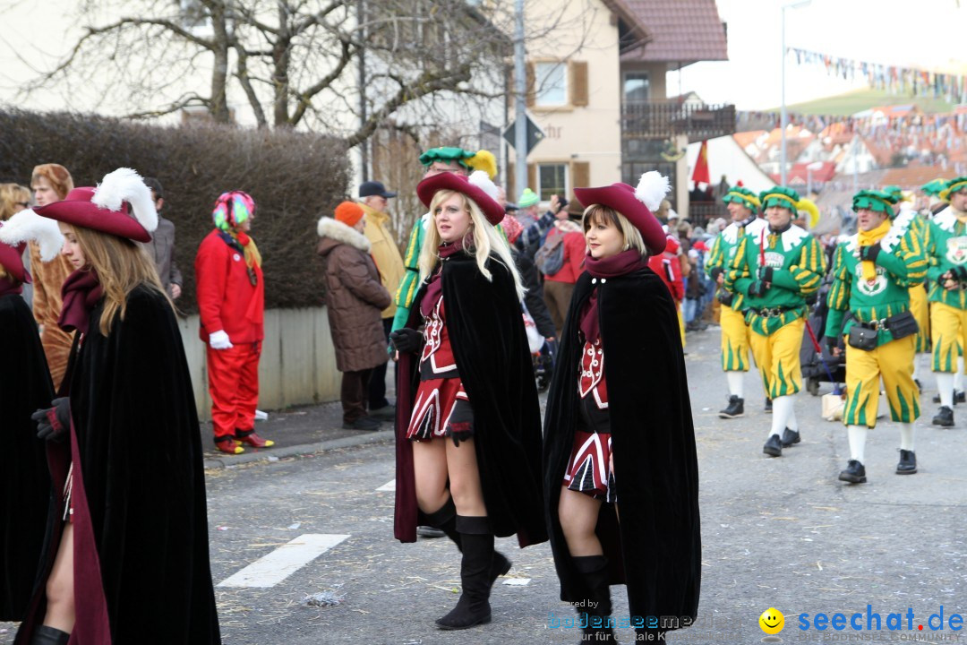 Narrentreffen - NV Kamelia: Tengen am Bodensee, 03.02.2013