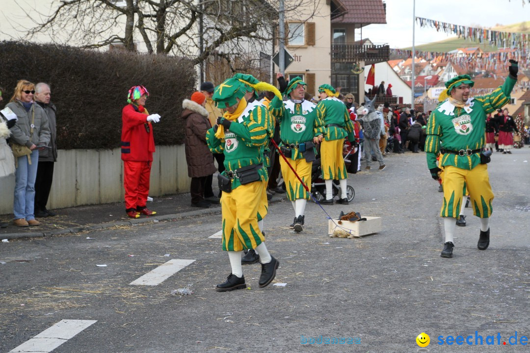 Narrentreffen - NV Kamelia: Tengen am Bodensee, 03.02.2013