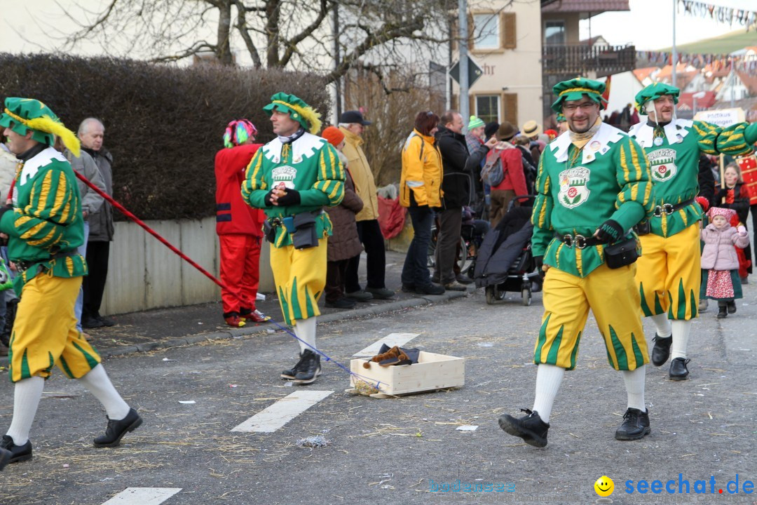 Narrentreffen - NV Kamelia: Tengen am Bodensee, 03.02.2013