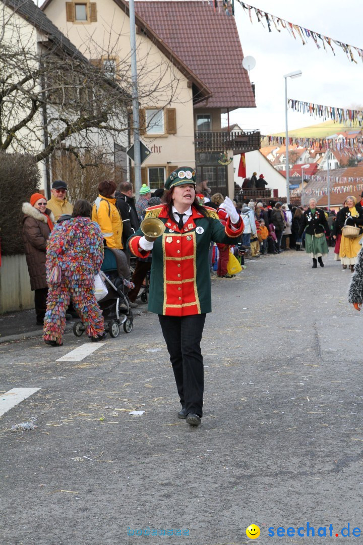 Narrentreffen - NV Kamelia: Tengen am Bodensee, 03.02.2013