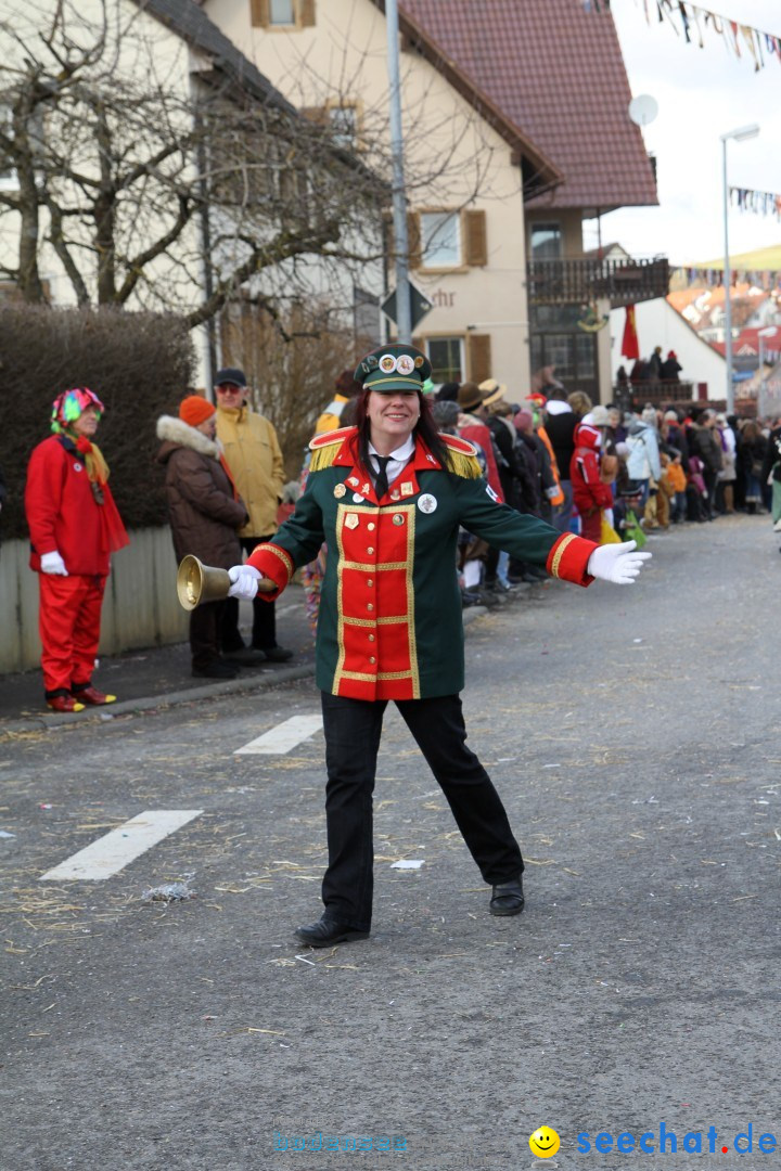 Narrentreffen - NV Kamelia: Tengen am Bodensee, 03.02.2013