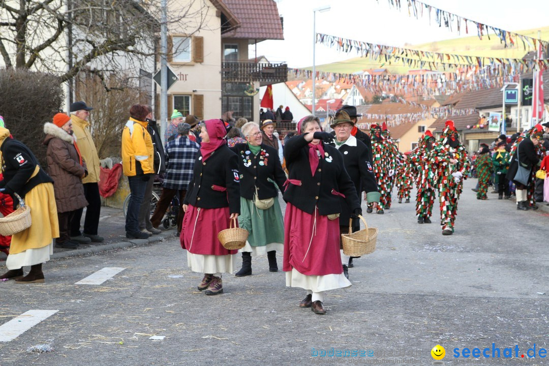 Narrentreffen - NV Kamelia: Tengen am Bodensee, 03.02.2013