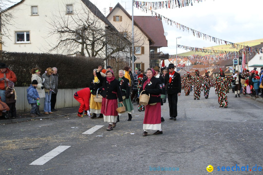 Narrentreffen - NV Kamelia: Tengen am Bodensee, 03.02.2013