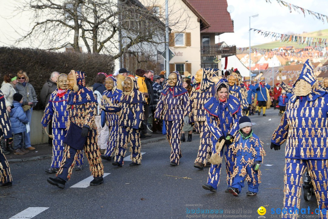 Narrentreffen - NV Kamelia: Tengen am Bodensee, 03.02.2013