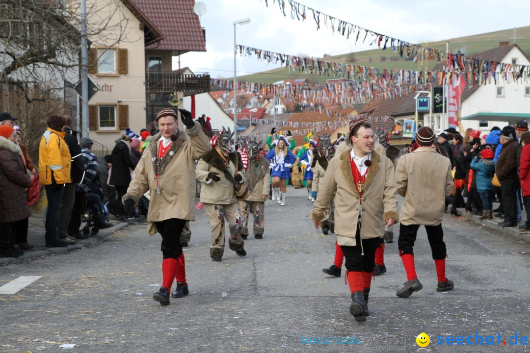 Narrentreffen - NV Kamelia: Tengen am Bodensee, 03.02.2013