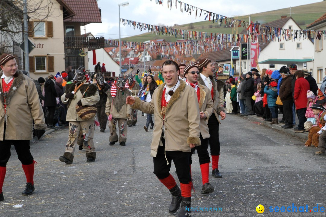 Narrentreffen - NV Kamelia: Tengen am Bodensee, 03.02.2013