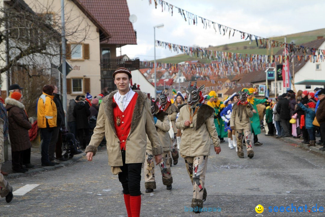 Narrentreffen - NV Kamelia: Tengen am Bodensee, 03.02.2013