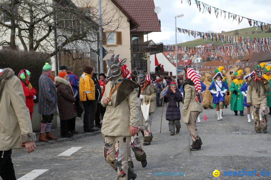 Narrentreffen - NV Kamelia: Tengen am Bodensee, 03.02.2013