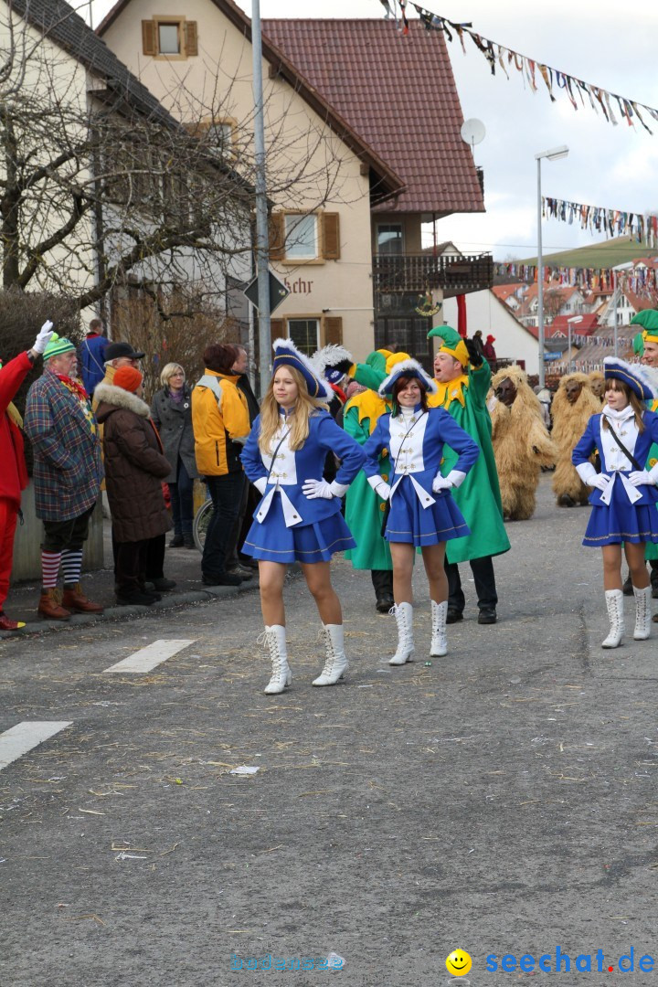 Narrentreffen - NV Kamelia: Tengen am Bodensee, 03.02.2013