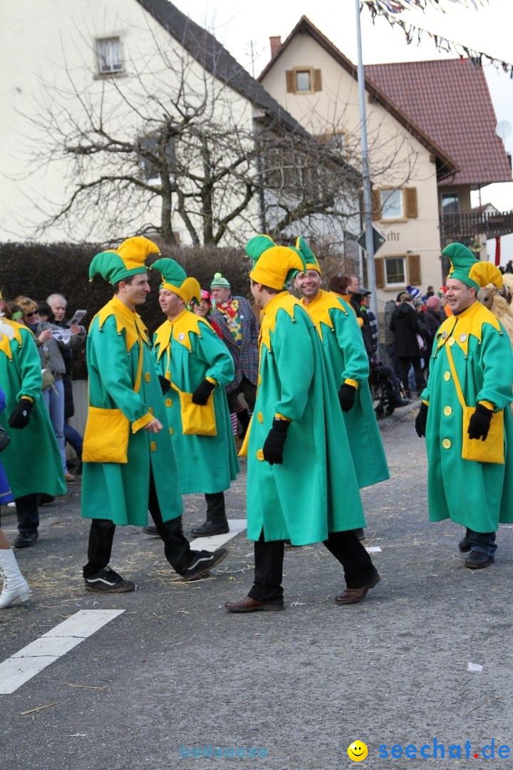 Narrentreffen - NV Kamelia: Tengen am Bodensee, 03.02.2013