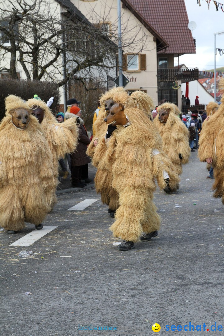 Narrentreffen - NV Kamelia: Tengen am Bodensee, 03.02.2013