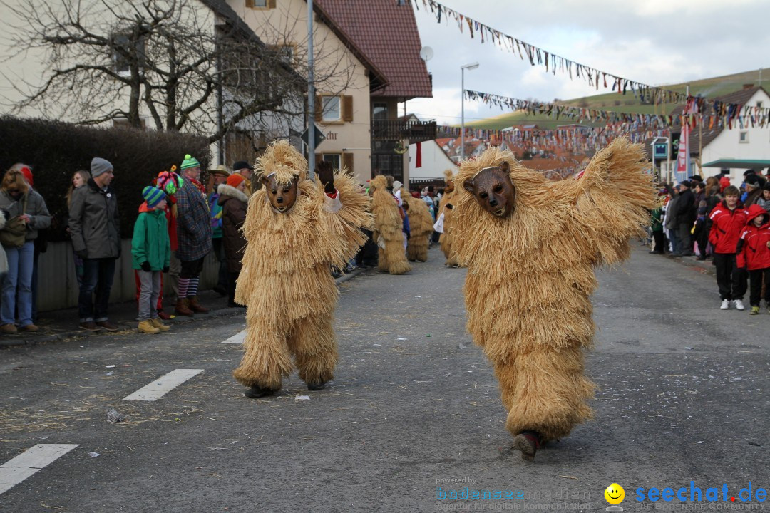 Narrentreffen - NV Kamelia: Tengen am Bodensee, 03.02.2013