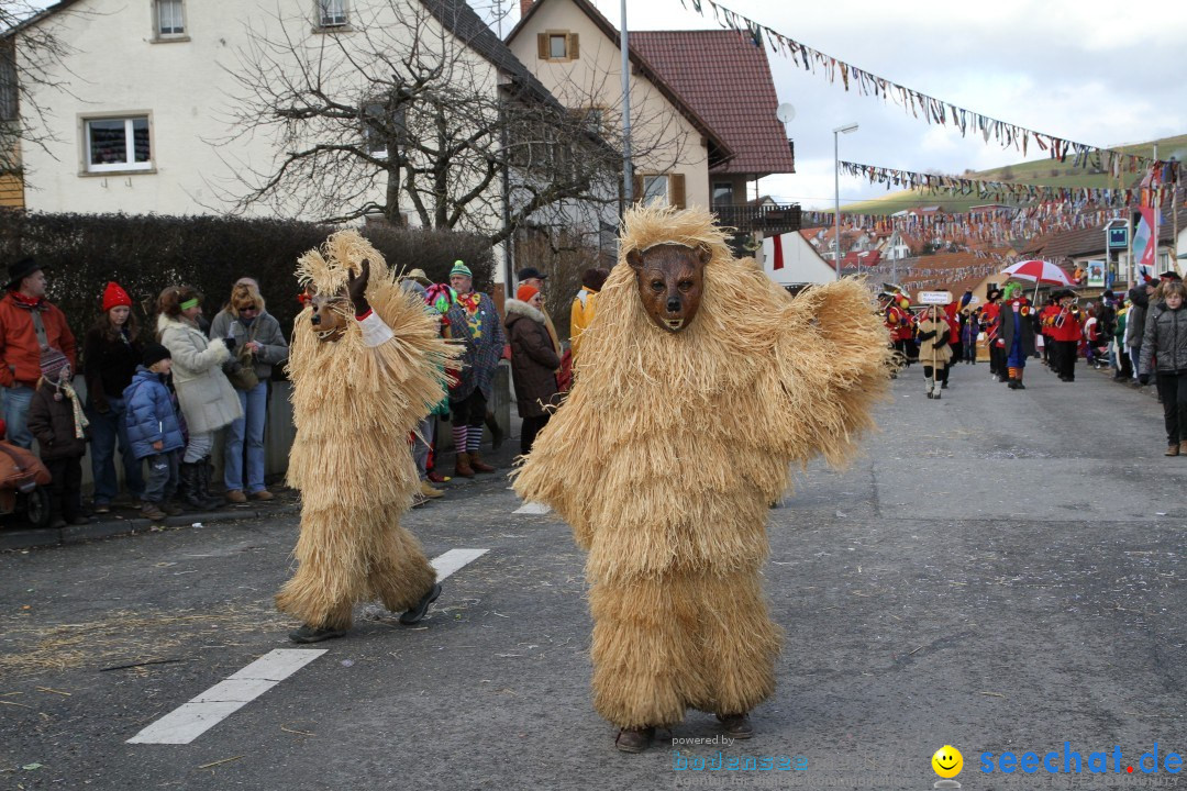 Narrentreffen - NV Kamelia: Tengen am Bodensee, 03.02.2013