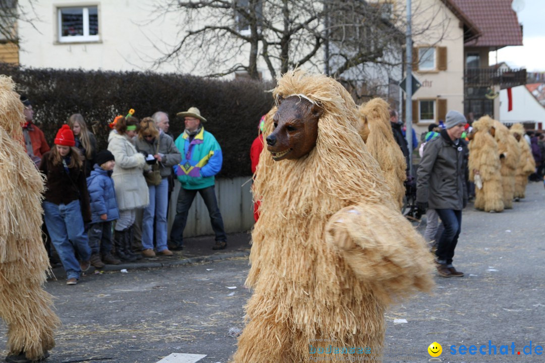 Narrentreffen - NV Kamelia: Tengen am Bodensee, 03.02.2013