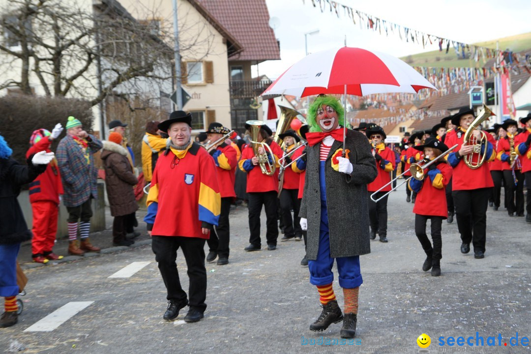 Narrentreffen - NV Kamelia: Tengen am Bodensee, 03.02.2013