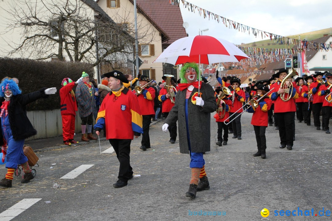 Narrentreffen - NV Kamelia: Tengen am Bodensee, 03.02.2013