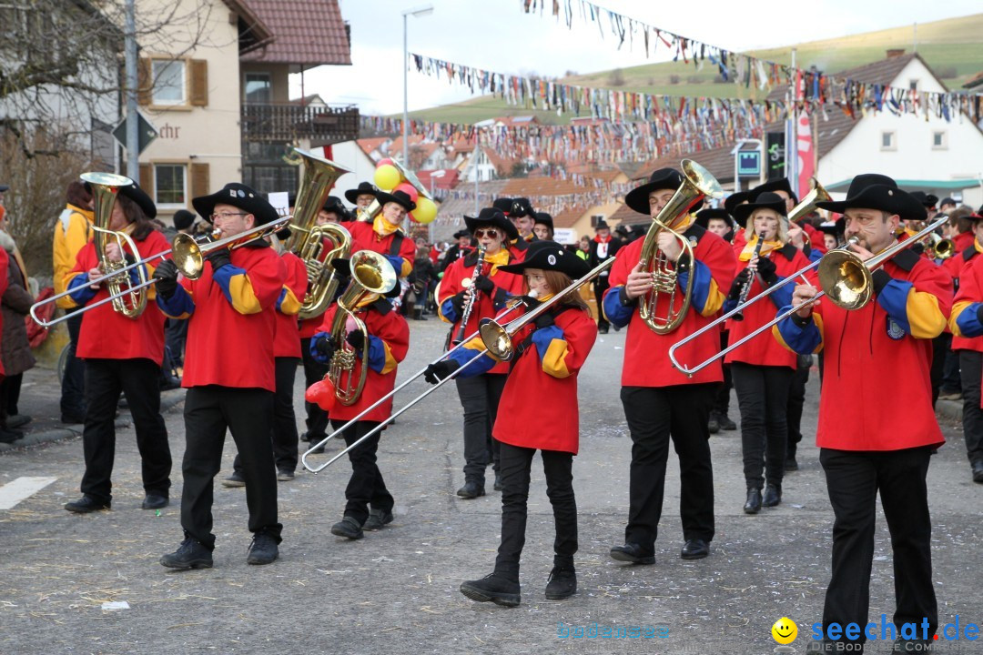 Narrentreffen - NV Kamelia: Tengen am Bodensee, 03.02.2013