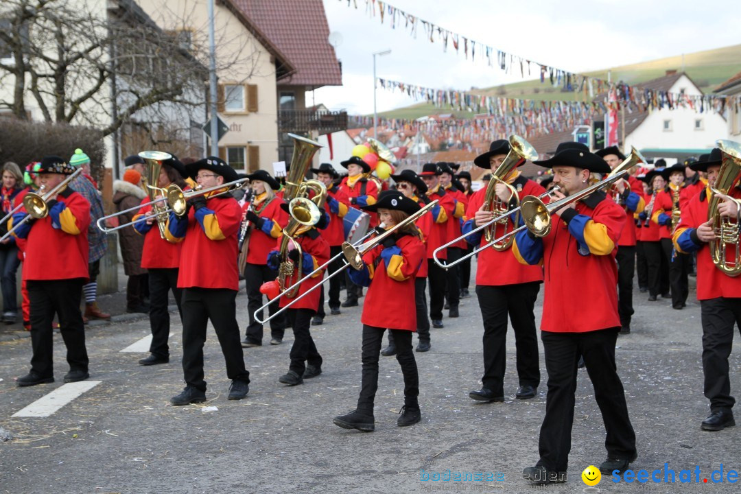 Narrentreffen - NV Kamelia: Tengen am Bodensee, 03.02.2013