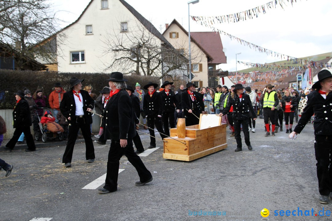 Narrentreffen - NV Kamelia: Tengen am Bodensee, 03.02.2013