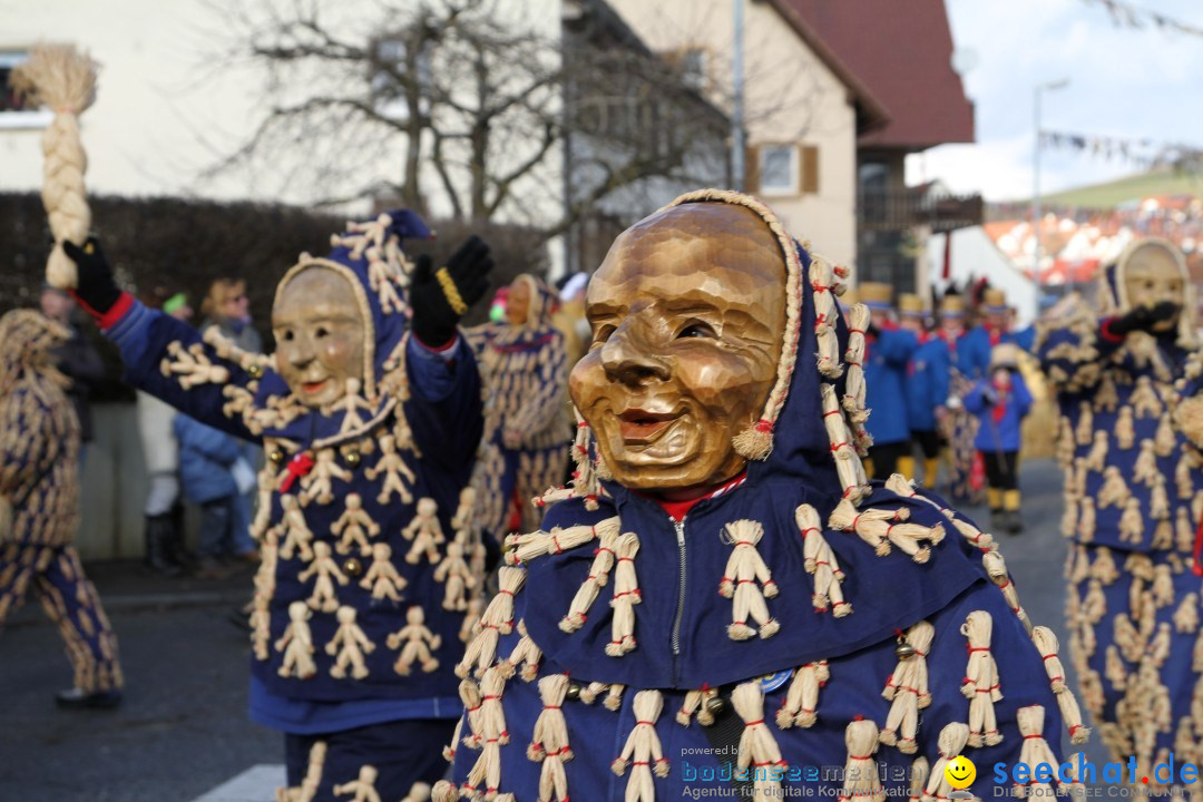 Narrentreffen - NV Kamelia: Tengen am Bodensee, 03.02.2013