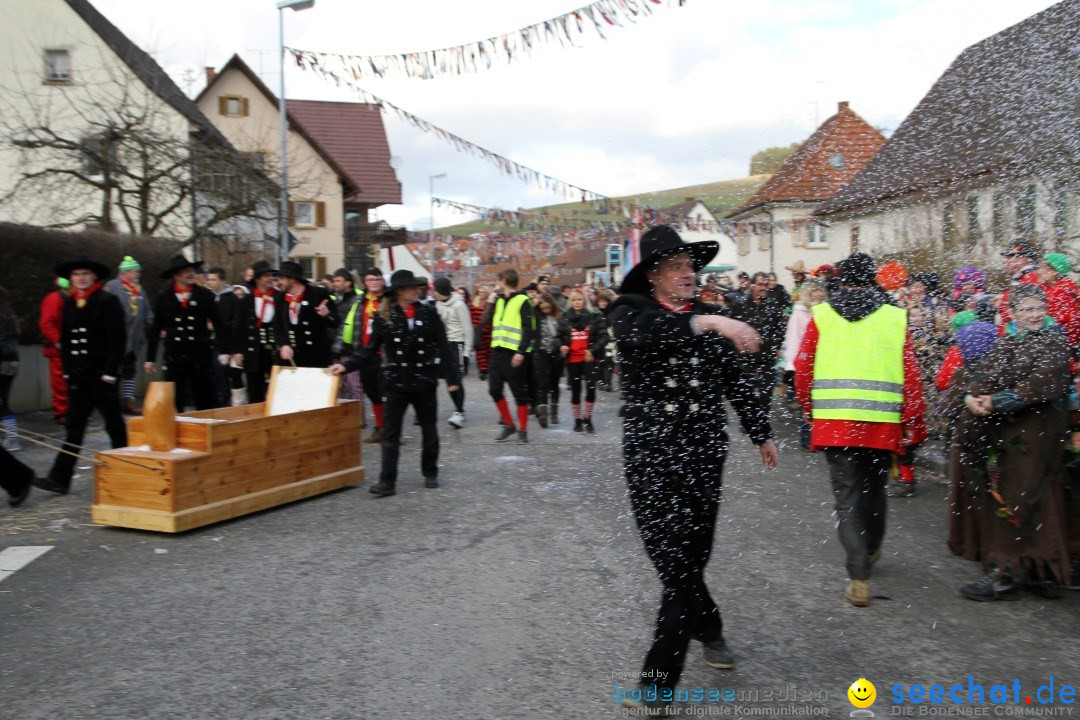 Narrentreffen - NV Kamelia: Tengen am Bodensee, 03.02.2013