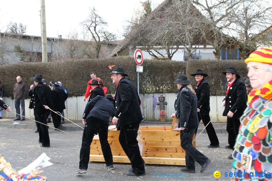 Narrentreffen - NV Kamelia: Tengen am Bodensee, 03.02.2013