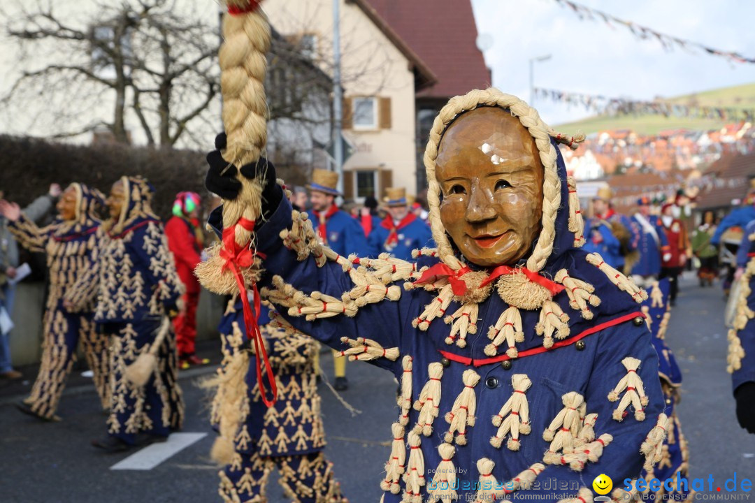 Narrentreffen - NV Kamelia: Tengen am Bodensee, 03.02.2013