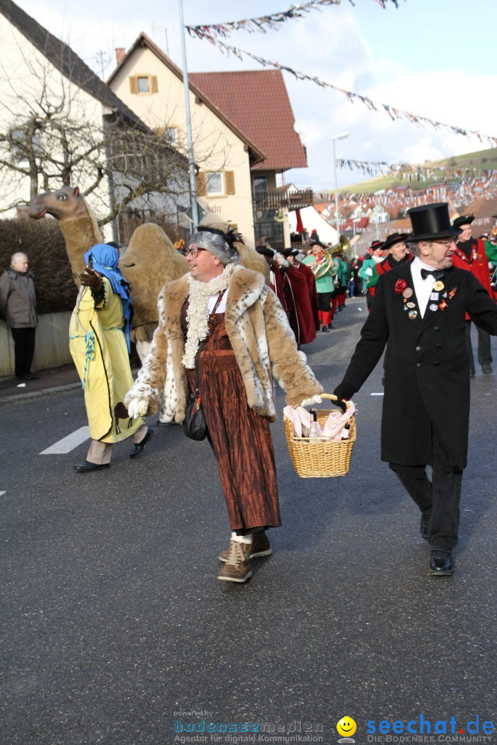 Narrentreffen - NV Kamelia: Tengen am Bodensee, 03.02.2013