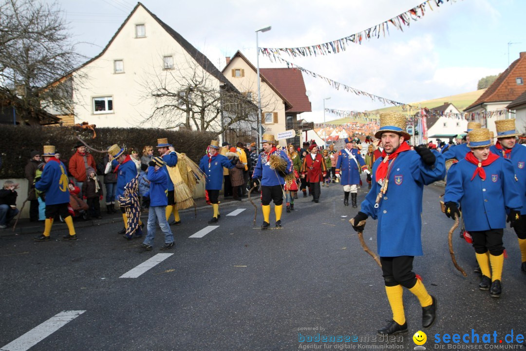 Narrentreffen - NV Kamelia: Tengen am Bodensee, 03.02.2013