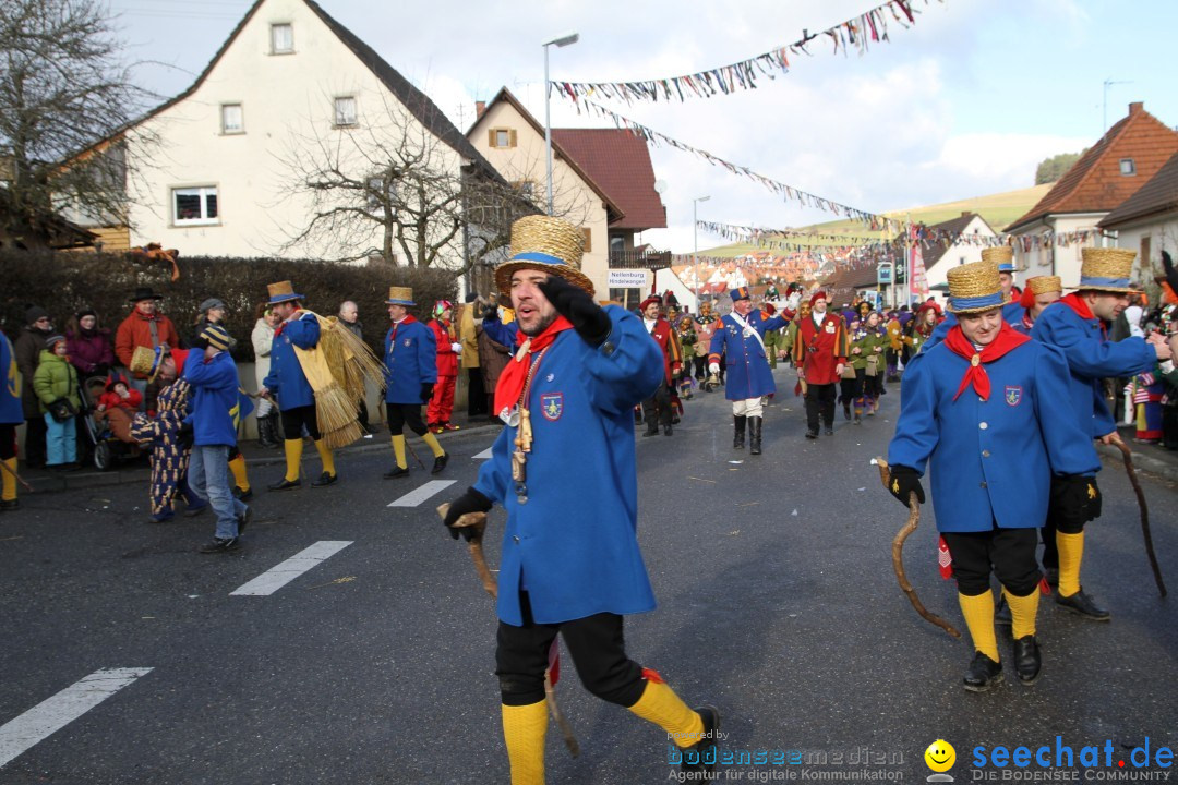 Narrentreffen - NV Kamelia: Tengen am Bodensee, 03.02.2013