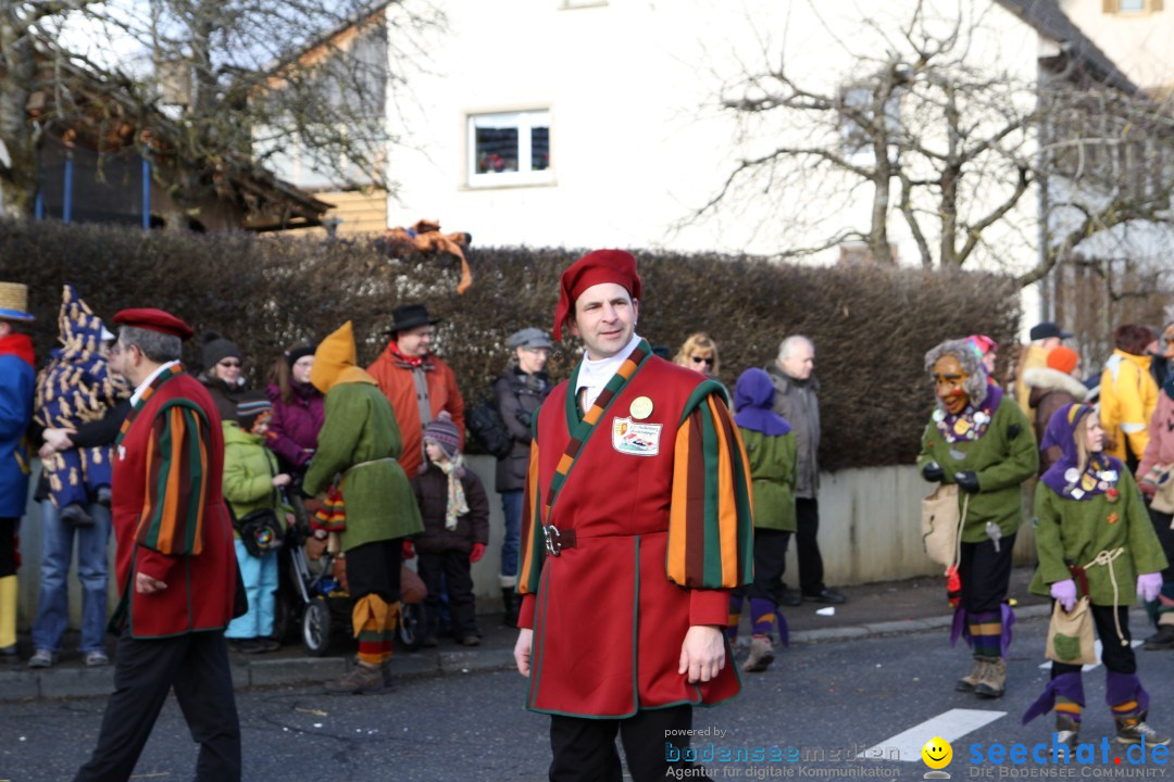 Narrentreffen - NV Kamelia: Tengen am Bodensee, 03.02.2013