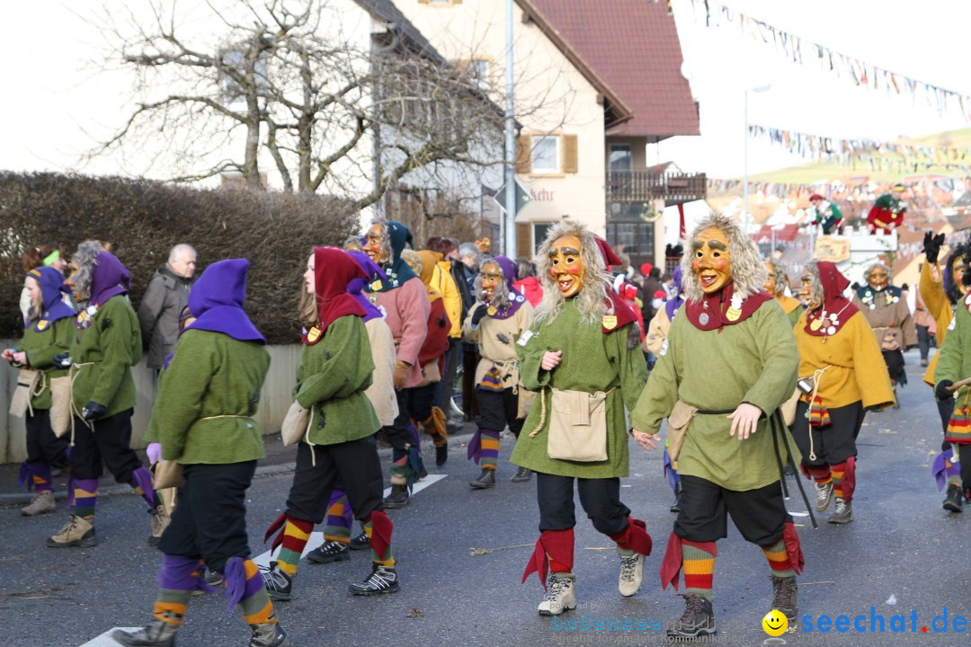 Narrentreffen - NV Kamelia: Tengen am Bodensee, 03.02.2013