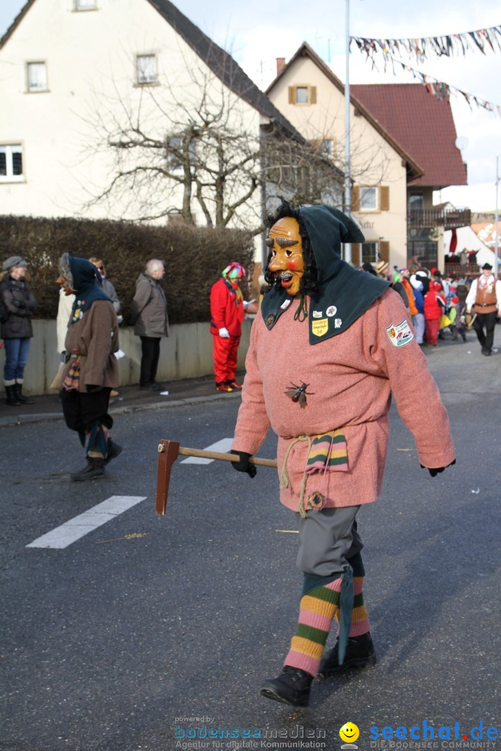 Narrentreffen - NV Kamelia: Tengen am Bodensee, 03.02.2013