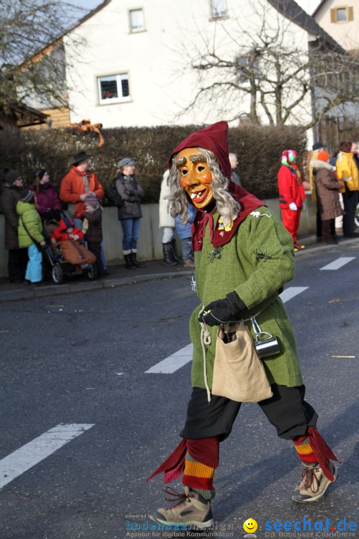 Narrentreffen - NV Kamelia: Tengen am Bodensee, 03.02.2013