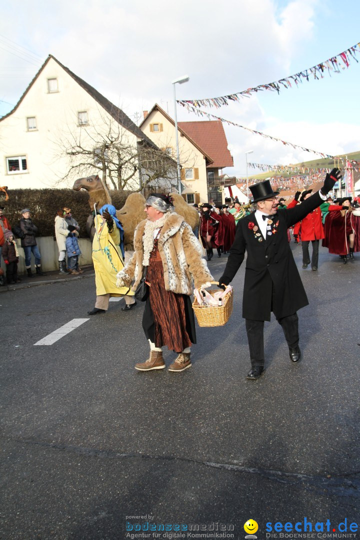 Narrentreffen - NV Kamelia: Tengen am Bodensee, 03.02.2013