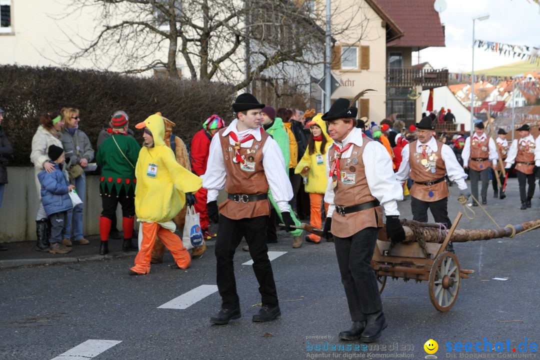 Narrentreffen - NV Kamelia: Tengen am Bodensee, 03.02.2013