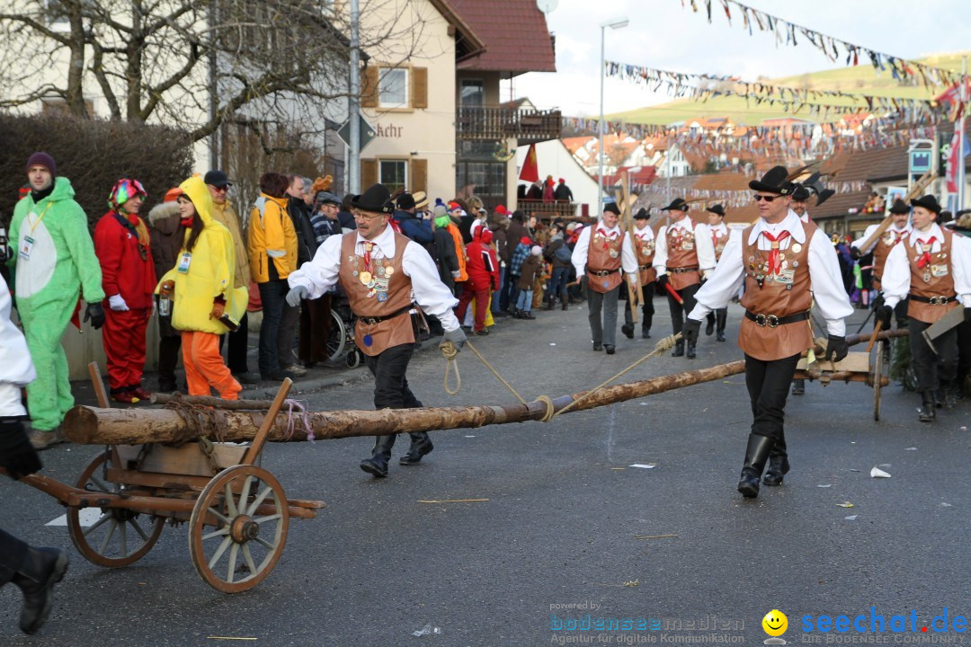 Narrentreffen - NV Kamelia: Tengen am Bodensee, 03.02.2013