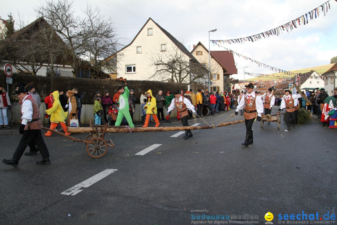 Narrentreffen - NV Kamelia: Tengen am Bodensee, 03.02.2013