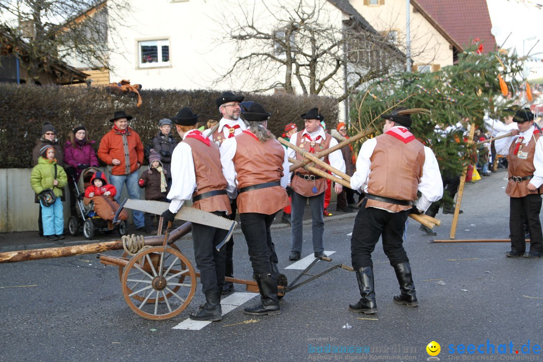 Narrentreffen - NV Kamelia: Tengen am Bodensee, 03.02.2013