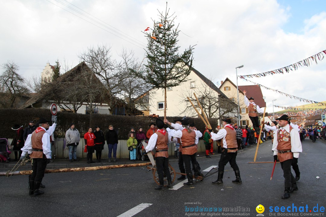 Narrentreffen - NV Kamelia: Tengen am Bodensee, 03.02.2013